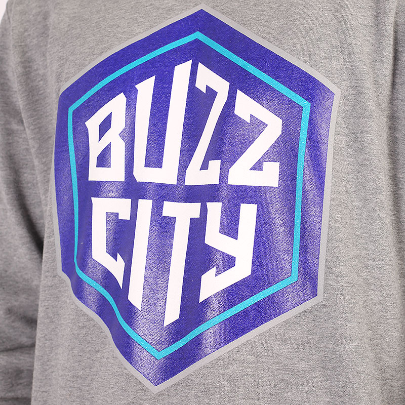 Мужская толстовка Mitchell and ness Buzz City Logo Crew (BUZZLOGOCREWCHAHORGRH)  - цена, описание, фото 2